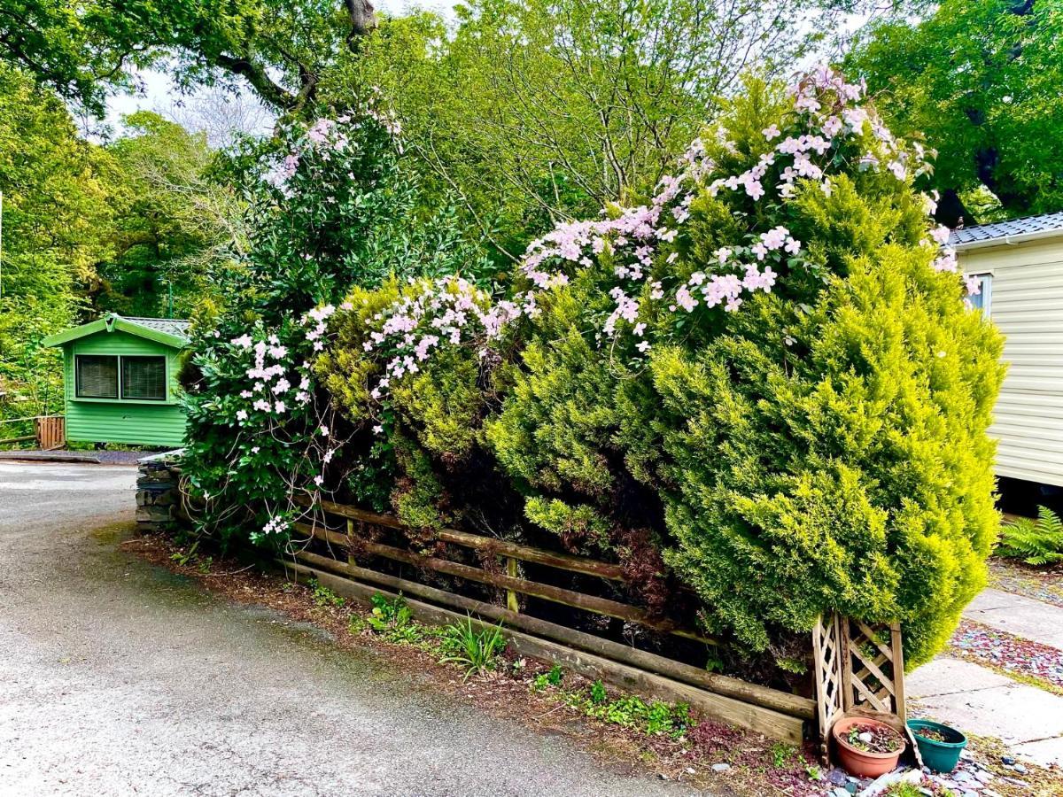 Snowdonia Holidays Caravan Hire - Aberdunant Park - 34 The Green Prenteg Luaran gambar