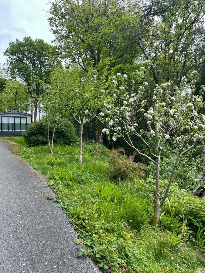 Snowdonia Holidays Caravan Hire - Aberdunant Park - 34 The Green Prenteg Luaran gambar